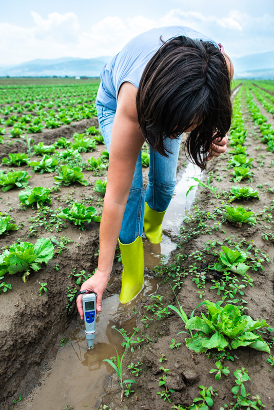 AgriTech4Egypt woman mesures irrigation water with digital