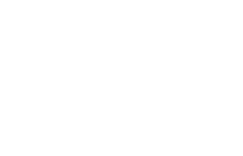 Femme Francophone Entrepreneure Logo