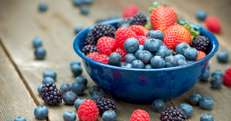 Xtend Fruits 1200 x 628