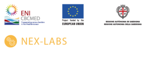 next labs banner